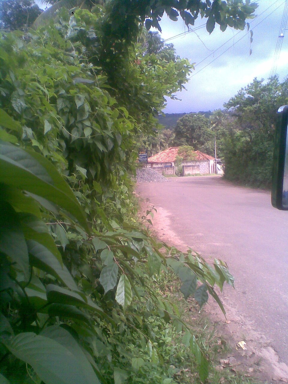 Yala Katagamuwa Gate