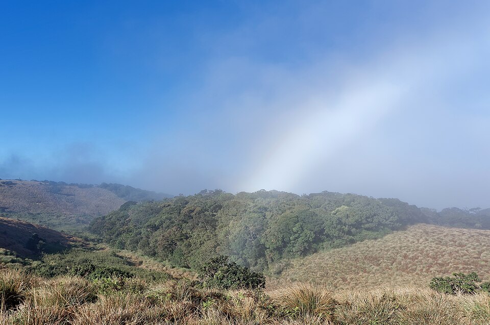 The 9 km loop trail