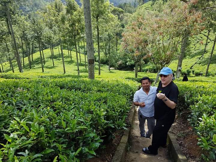 Tea trails, Nuwara Eliya