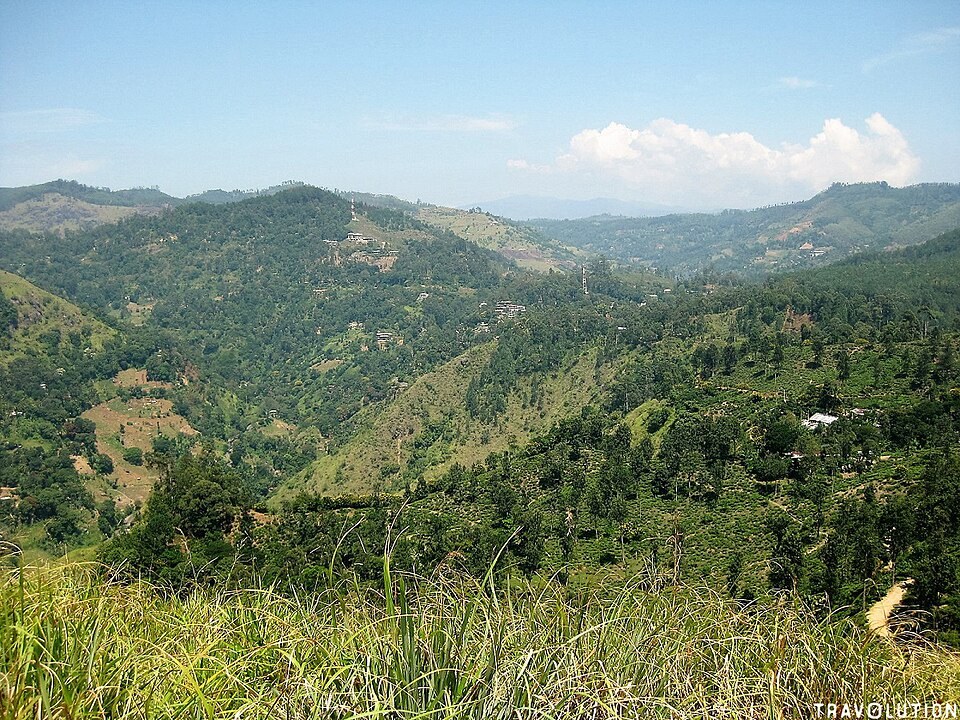 Zip Lining gallery 3