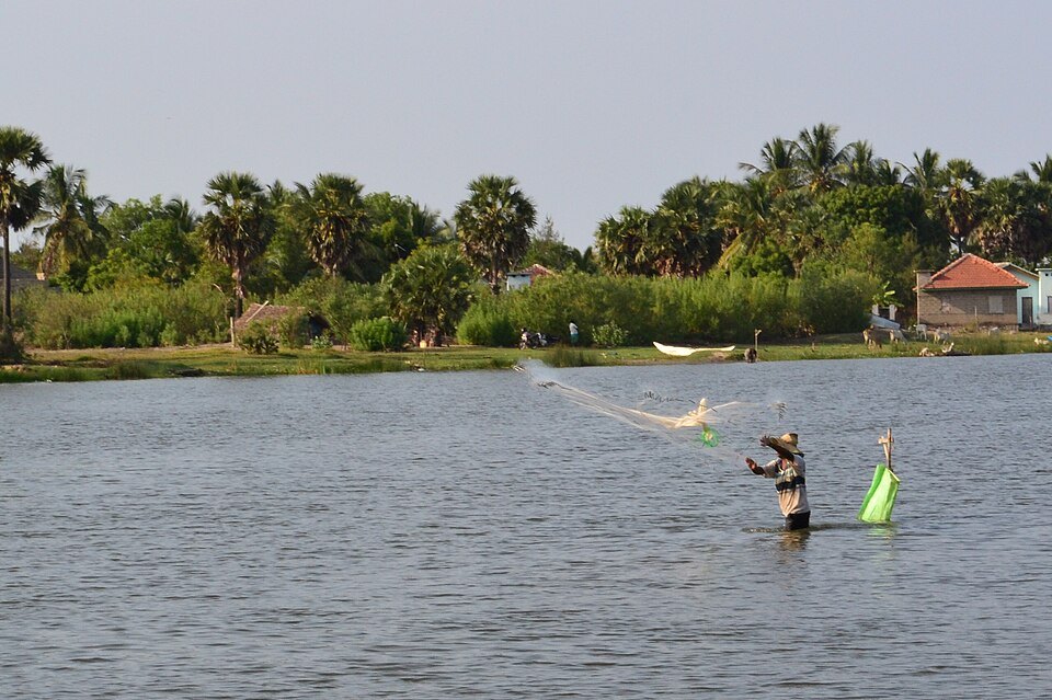 Pottuvil Lagoon safari