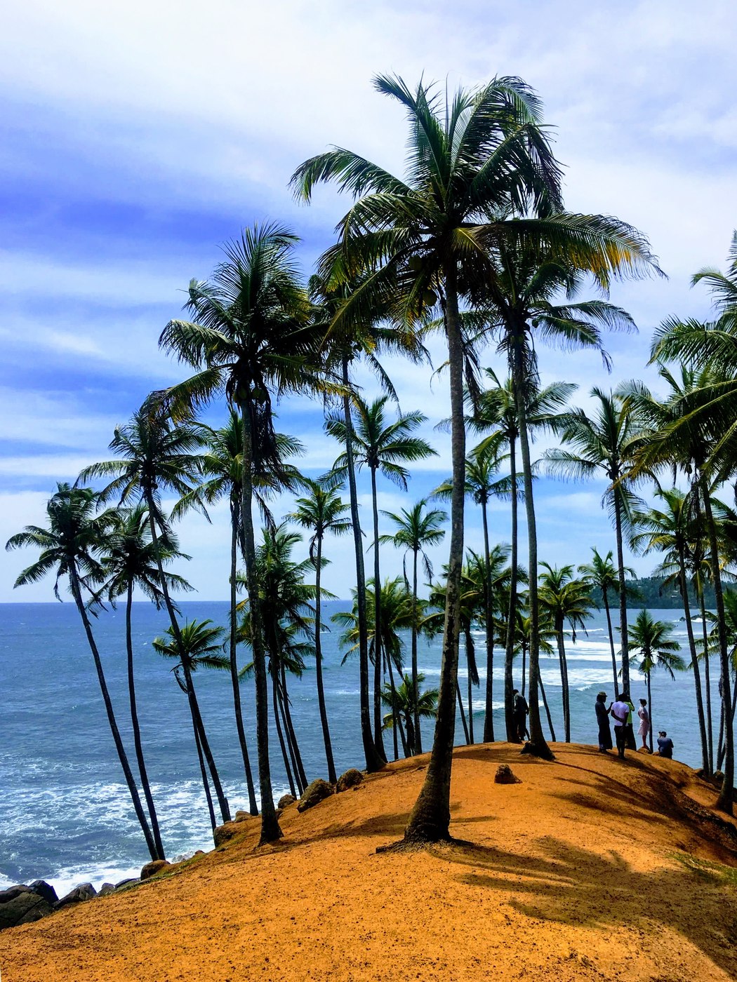 Coconut Tree Hill