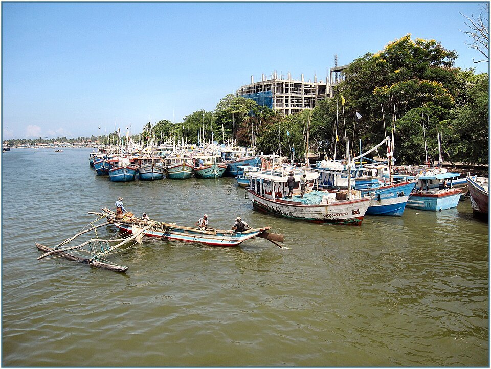 Negombo lagoon boat safari