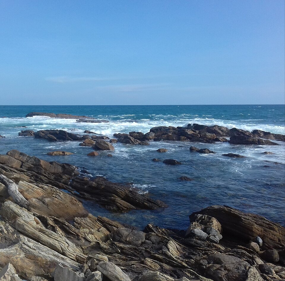 Turtle hatchery visit