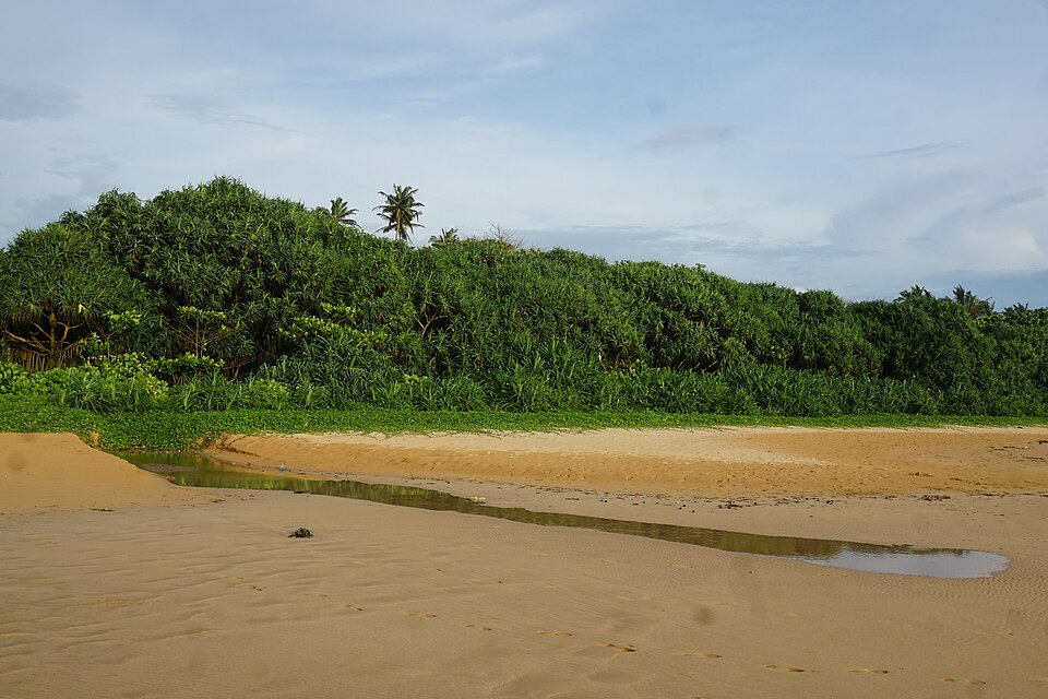 Bentota Beach