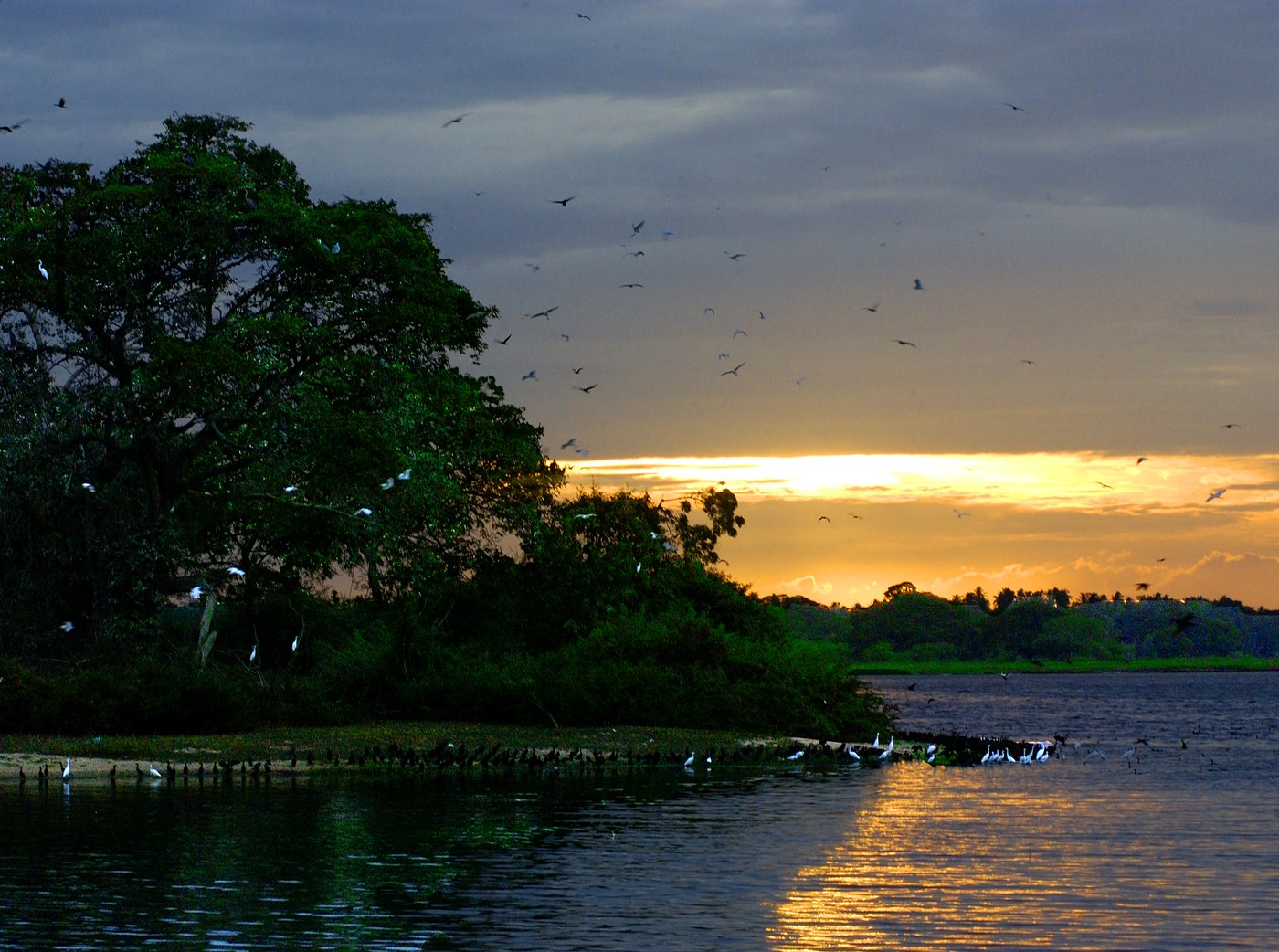 Bird Watching gallery 2