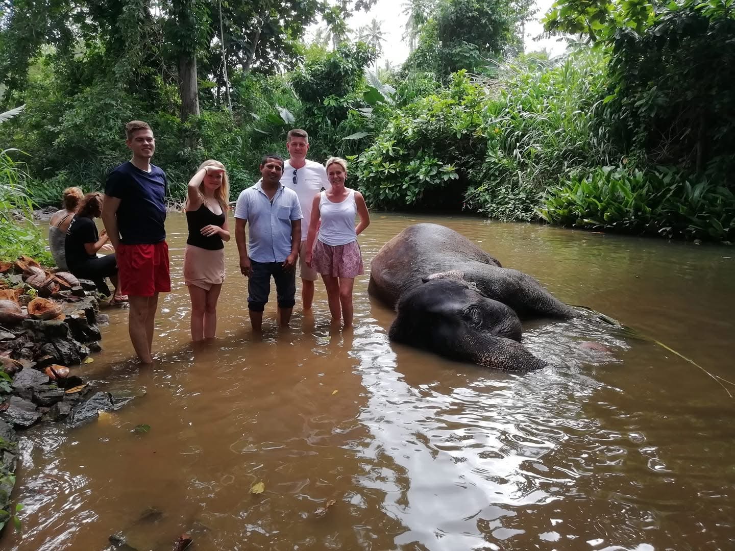 River bathing with a gentle giant