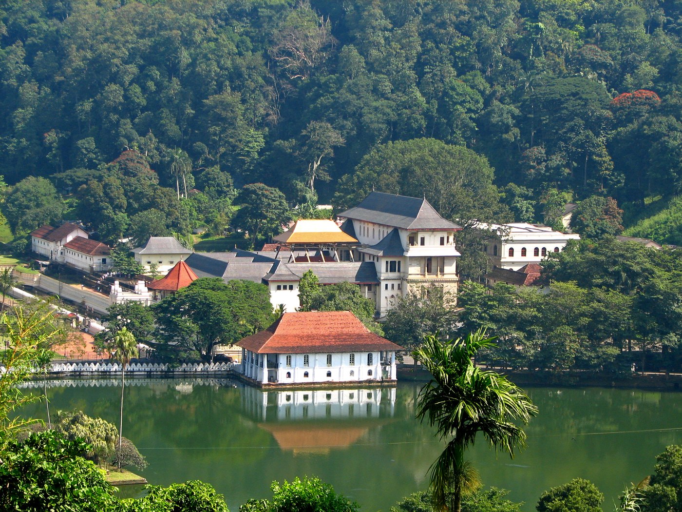 Udawatta Kele forest reserve