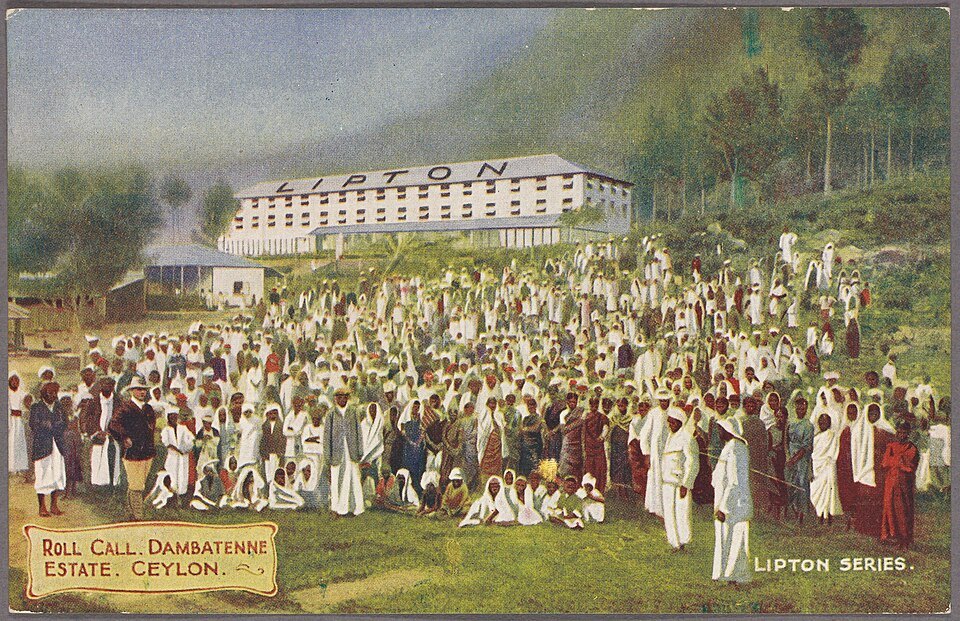 Dambatenne Tea Factory