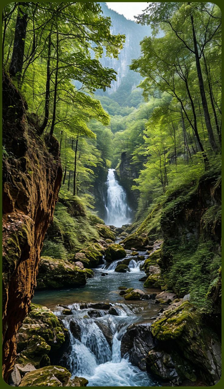 Tour Image