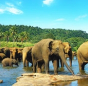 Itinerary Image